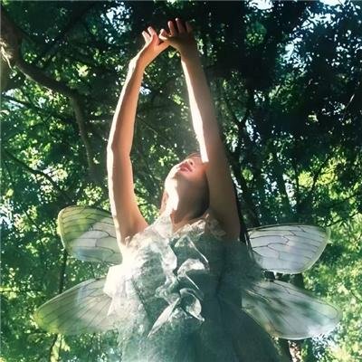 穿越成菊斗罗和鬼斗罗之徒